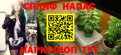 ГАЛЛЮЦИНОГЕННЫЕ ГРИБЫ Рыбинск